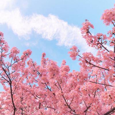 飞天斗战神手游(暂未上线)v1.6 安卓最新版